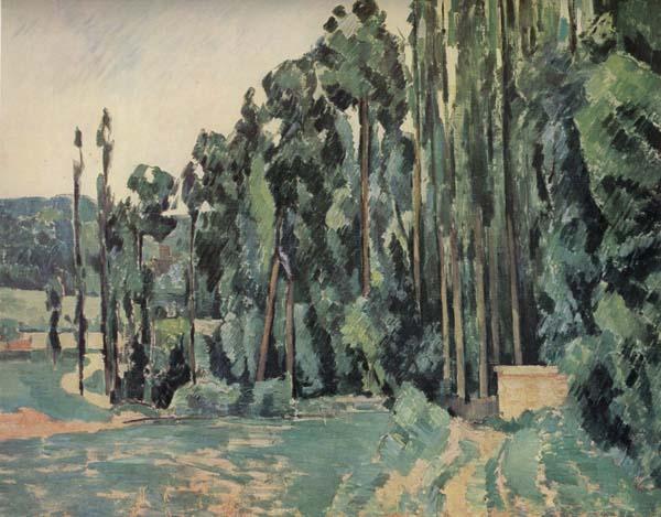 Paul Cezanne The Poplars oil painting image